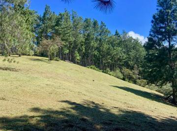 Terreno / Lote , Chame · Terreno Ideal de Montaña – Altos del María