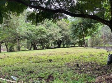 Terreno / Lote , Chame · Vendo Hermoso, Plano, Perfectamente Rectangular Terreno en Playa Gorgona