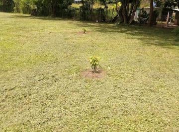 Terreno / Lote , Chame · Bejuco - Chame: Cerca Via Panamericana, Terreno de 3.6 Ha, Plano
