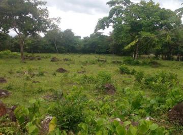 Terreno / Lote , Dolega · Venta de Lotes en Las Cañas en Dolega Chiriquí