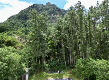 Finca , Capira · Capira Finca en Cerro Trinidad en Venta