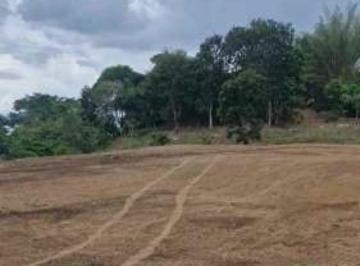 Terreno / Lote · 15000m² · Venta de Terreno Comercial en Las Mañanitas Tocumen (6)