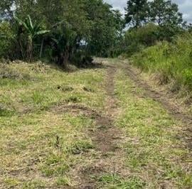Terreno / Lote · 20000m² · Lote en Venta en El Frances Boquete