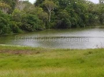 Finca , Panamá · Venta de Finca en Pacora.