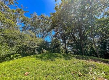 Terreno / Lote , Bocas del Toro · Precio Reducido! Lote de 4,182 m² con Fácil Acceso en Isla Colón Bocas del Toro