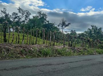 Terreno / Lote , Boquerón · Lote Plano de 1,000 m² en Venta en Boquerón, Chiriquí