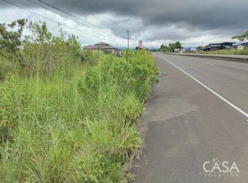 Terreno / Lote , Boquete · Lote de 5,000 m² en Venta en Carretera Principal de Boquete Cerca de Los Molinos