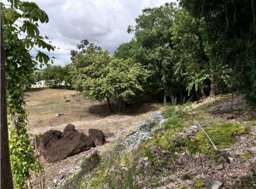Bodega-Galpón-Depósito , Panamá · Se Vende Galera con Hectaria de Terreno.