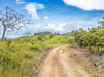 Terreno / Lote , San Lorenzo · Lote con Vista Al Océano de 1 Hectárea en Venta en Boca Chica, Chiriquí