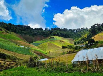 Finca , Volcan · Finca Agrícola en Venta – Cerro Punta, Chiriquí