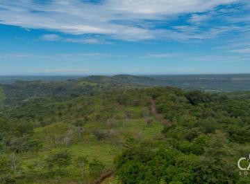 Terreno / Lote , Boquete · 3 Hectáreas de Terreno Boscoso en Venta en El Paso, Jaramillo Boquete