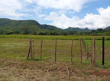 Terreno / Lote · 1000m² · Venta de Lotes en Penonome - Toro Bravo