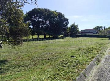 Terreno / Lote , San Carlos · Terreno en Coronado en Venta
