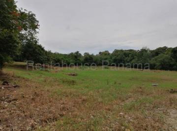 Terreno / Lote , Antón · Venta de Terreno en Bijao