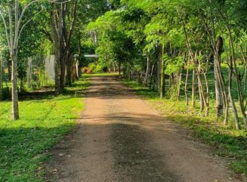 Terreno / Lote en Venta  Santa Rita · Lote en Venta, Precio $172,165negociables