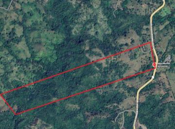 Finca de 1 habitación, Pedasí · Venta de Finca de 18 Ha con Una Casita de Campo. Ubicada Entre Pedasi y Venao, Panama