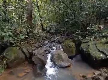 Finca , Panamá · Se Venden 55 Hectáreas de Terreno en Cerro Azul