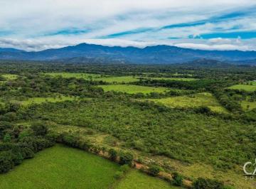 Terreno / Lote , David · Terreno Plano Extenso en Venta Adecuado Para Agricultura en Cochea, David