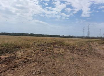 Finca , Natá · Venta de Finca en El Cortezo de Natá, 251 Hectáreas
