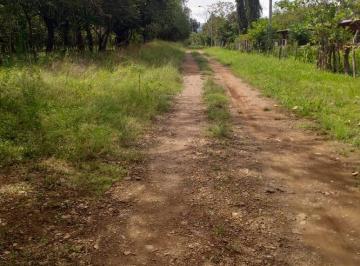Finca , Olá · Venta de Finca en Olá, Coclé, 25 Hectáreas