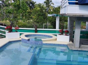 Finca · 8125m² · 2 Recámaras · Venta de Finca con Casa en Coronado (6)