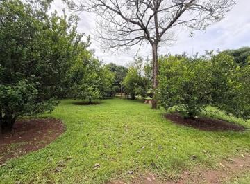 Finca · 13000m² · Venta de Finca en Balita, Tinajas, Chiriquí