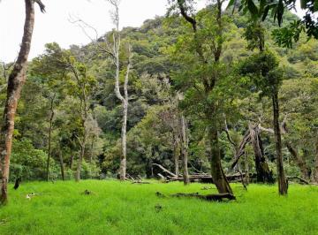 Terreno / Lote , Volcan · Oferta! 3 Acres de Exuberante Propiedad Ribereña en Venta en Cerro Punta