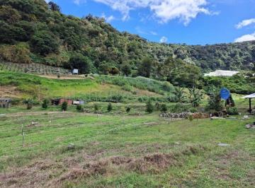 Terreno / Lote , Boquete · Lotes en Los Naranjos