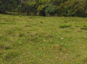 Finca , Olá · Venta de Finca en Olá, Coclé, 26 Hectáreas