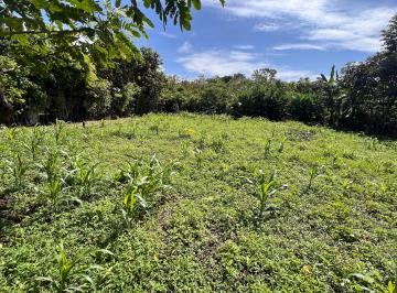 Terreno / Lote , David · Terreno de 613 m² en Venta en Cochea