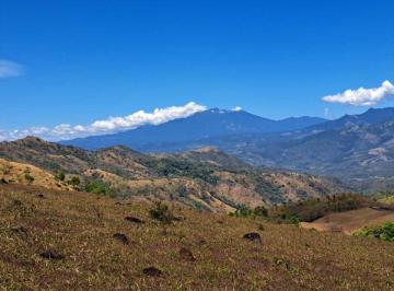 Finca · 390000m² · 1 Recámara · Vendo Finca de 39 Ha en Remate en Gualaca