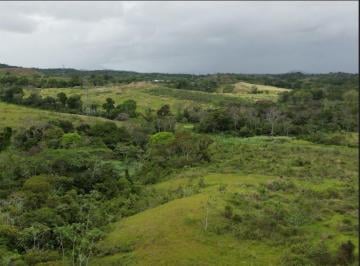 Finca , La Chorrera · Venta de Finca en Vía Las Mendozas, El Arado, La Chorrera, 80 Hectáreas