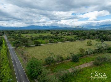 Terreno / Lote , David · Terreno Plano de Primera en Venta en Cochea Abajo, David, Chiriquí