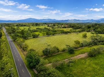 Terreno / Lote , David · Oferta! Terreno Plano de Primera en Venta en Cochea Abajo, David, Chiriquí
