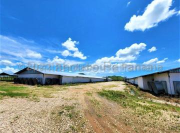 Finca , Natá · Venta de Granja Avicola en Cocle