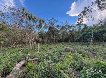 Terreno / Lote , Dolega · Terreno de Una Hectárea en Venta en Potrerillo, Dolega Cerca de Boquete