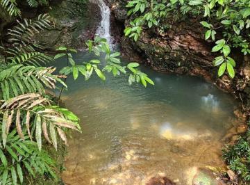 Terreno / Lote , La Pintada · La Pintada | Lujo Verde – 100 Hectáreas de Bosque Para Proyecto de Ecoturismo