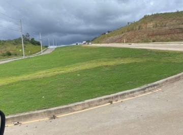 Terreno / Lote , La Chorrera · Venta Terreno en La Chorrera Via a Puerto Caimito 5.4 Hectáreas Ideal Para Desarrollo Inmobiliario