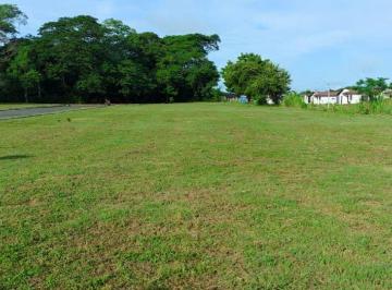 Terreno / Lote , Chitré · Venta de Terrenos en Chitré, Residencial Eu Villas, 3,916 m²