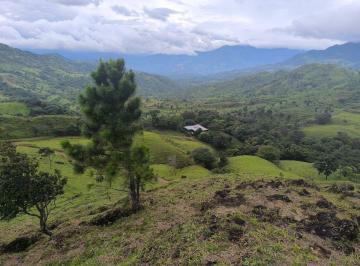 Finca , Boquete · Finca en Venta en Gualaca