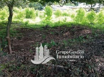 Terreno / Lote · 1000m² · Vendo Lote en Dolega