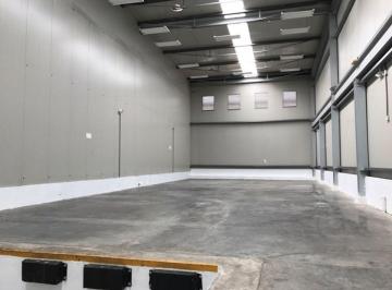 Bodega-Galpón-Depósito , Panamá · Bodega - Galpón - Depósito de 255 m² en Alquiler en Las Mañanitas