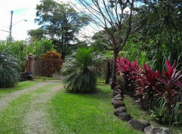 Finca , David · Hacienda Agrícola con Infraestructura Completa y Certificación de Agroturismo – Cochea Arriba, Chiri