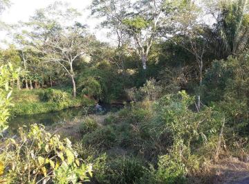 Terreno / Lote · 8m² · Venta de Finca en La Chorrera Precio de Oportunidad, 8.6 Ha