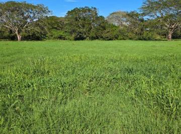 Finca , Aguadulce · Venta de Finca en Aguadulce, El Roble, 73 Hectáreas