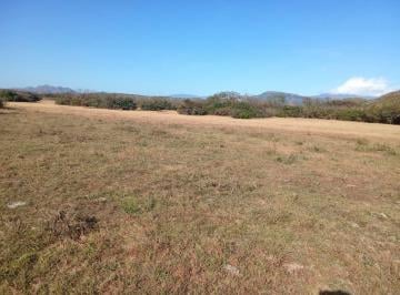 Finca , Natá · Venta de Finca en Coclé, El Olivo, El Caño, 100 Hectáreas