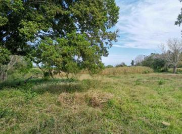 Finca · 170000m² · Venta de Finca en Las Cabezas de Pedasi 17 Ha