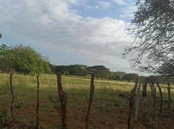 Terreno / Lote , Chitré · Terreno en Venta – Monagrillo, Chitré, Herrera