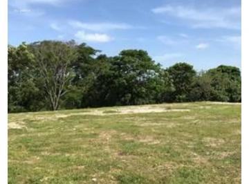 Terreno / Lote , Chame · Alquiler Terreno Coronado