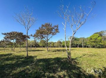 Terreno / Lote , Dolega · Terreno Plano de 1 Hectárea en Venta en Potrerillos Abajo, Chiriquí (Varias Opciones Disponible)